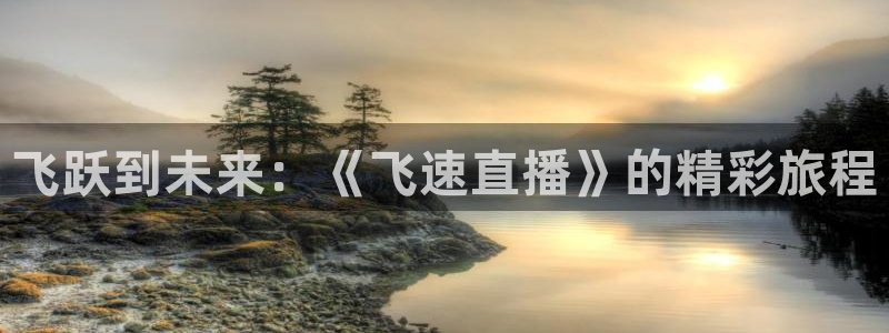 飞跃到未来：《飞速直播》的精彩旅程