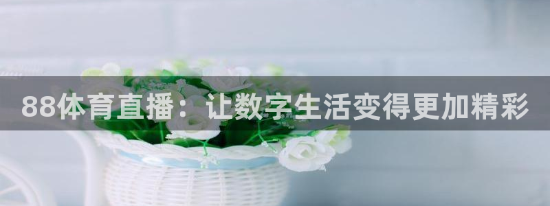 88体育直播：让数字生活变得更加精彩