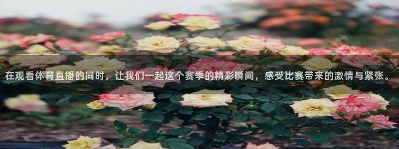 在观看体育直播的同时，让我们一起这个赛季的精彩瞬间，感受比赛带来的激情与紧张。