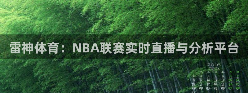 雷神体育：NBA联赛实时直播与分析平台