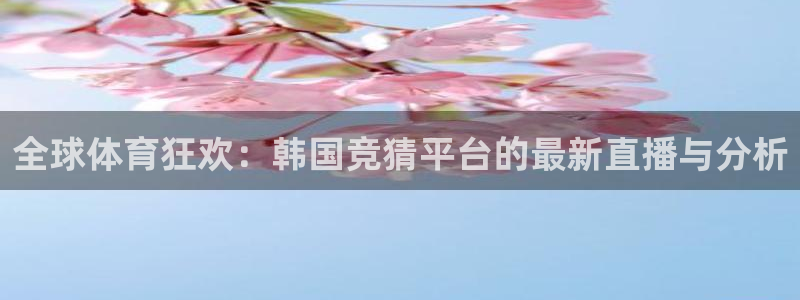全球体育狂欢：韩国竞猜平台的最新直播与分析