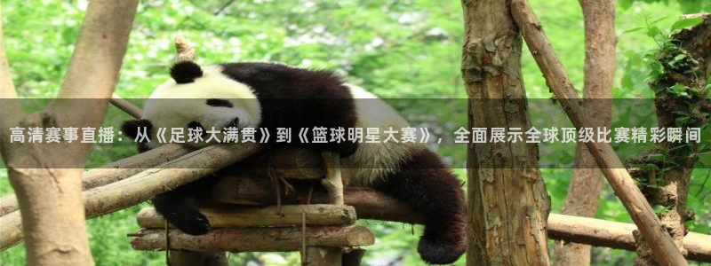 高清赛事直播：从《足球大满贯》到《篮球明星大赛》，全面展示全球顶级比赛精彩瞬间