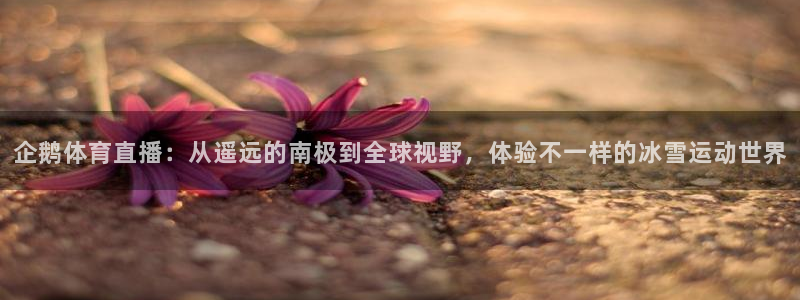 企鹅体育直播：从遥远的南极到全球视野，体验不一样的冰雪运动世界
