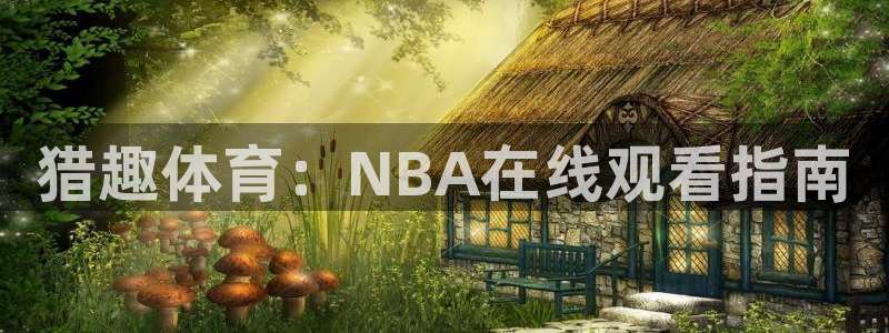 猎趣体育：NBA在线观看指南
