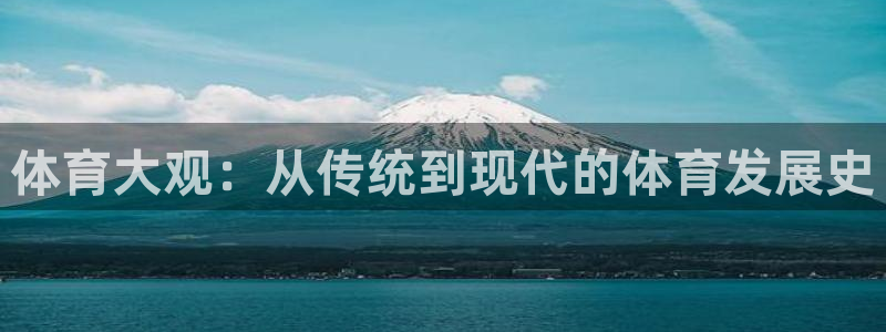 体育大观：从传统到现代的体育发展史