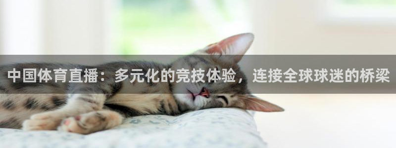 中国体育直播：多元化的竞技体验，连接全球球迷的桥梁