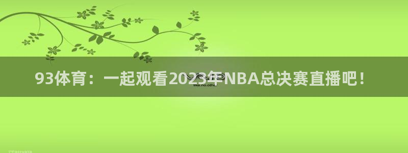 93体育：一起观看2023年NBA总决赛直播吧！
