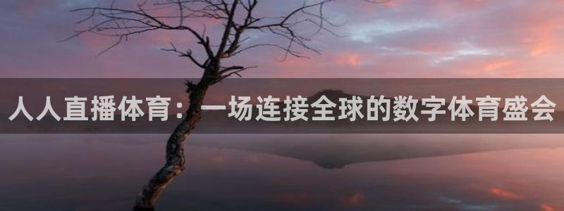 人人直播体育：一场连接全球的数字体育盛会