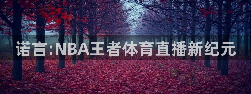 诺言:NBA王者体育直播新纪元