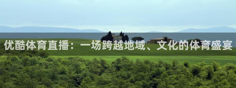 优酷体育直播：一场跨越地域、文化的体育盛宴