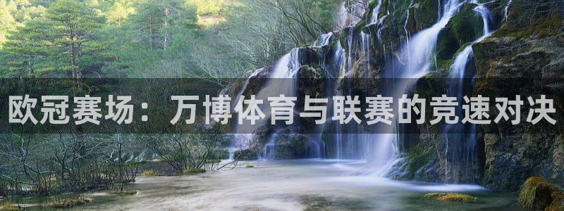欧冠赛场：万博体育与联赛的竞速对决