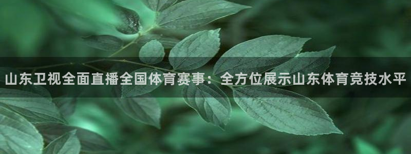 山东卫视全面直播全国体育赛事：全方位展示山东体育竞技水平