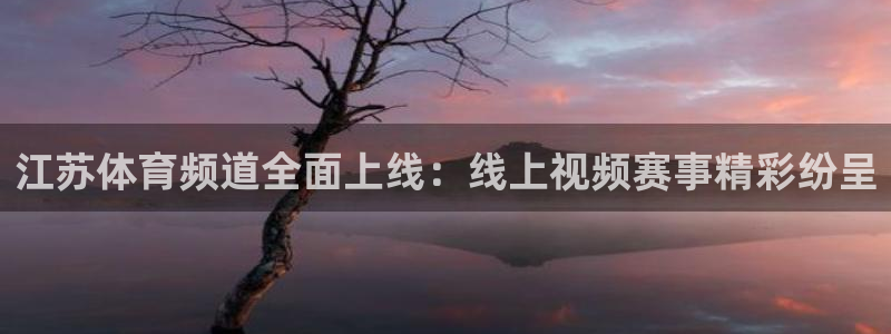 江苏体育频道全面上线：线上视频赛事精彩纷呈