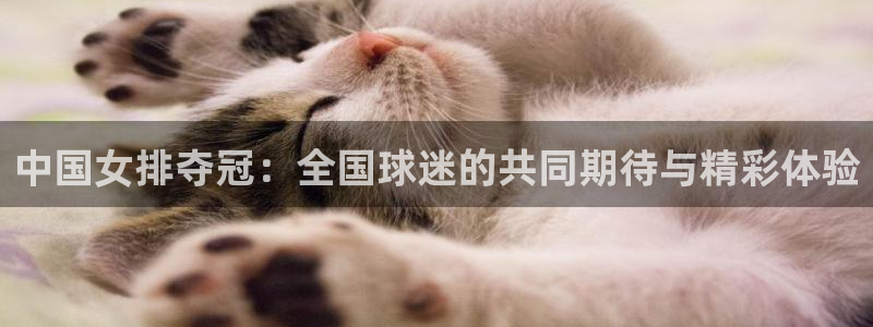 中国女排夺冠：全国球迷的共同期待与精彩体验