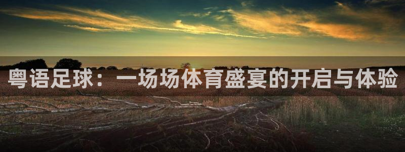 粤语足球：一场场体育盛宴的开启与体验