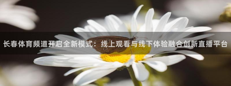 长春体育频道开启全新模式：线上观看与线下体验融合创新直播平台