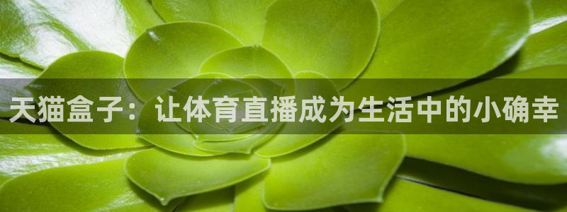 天猫盒子：让体育直播成为生活中的小确幸