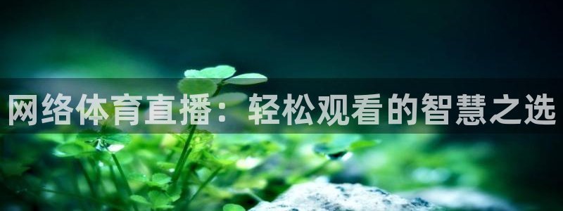 网络体育直播：轻松观看的智慧之选