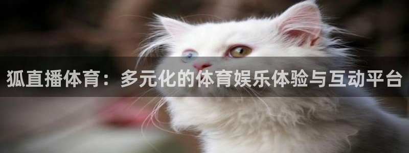 狐直播体育：多元化的体育娱乐体验与互动平台