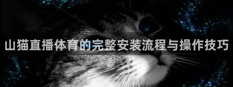 山猫直播体育的完整安装流程与操作技巧