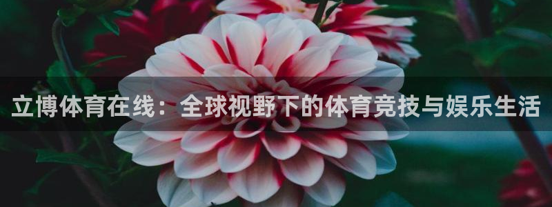 立博体育在线：全球视野下的体育竞技与娱乐生活