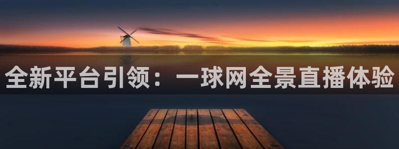 全新平台引领：一球网全景直播体验