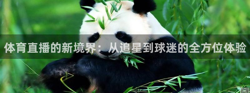 体育直播的新境界：从追星到球迷的全方位体验