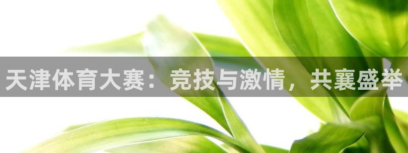 天津体育大赛：竞技与激情，共襄盛举