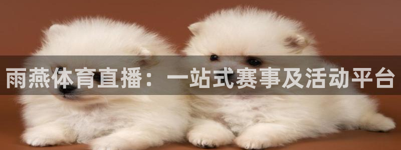 雨燕体育直播：一站式赛事及活动平台