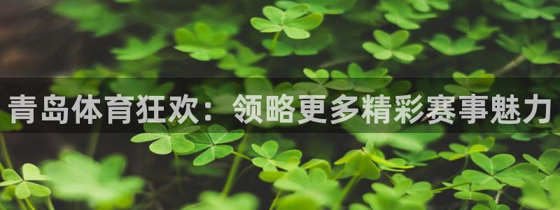青岛体育狂欢：领略更多精彩赛事魅力
