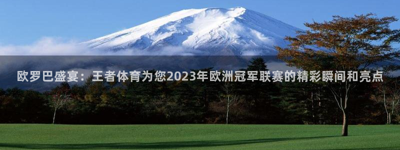 欧罗巴盛宴：王者体育为您2023年欧洲冠军联赛的精彩瞬间和亮点